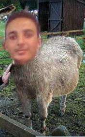 ânne